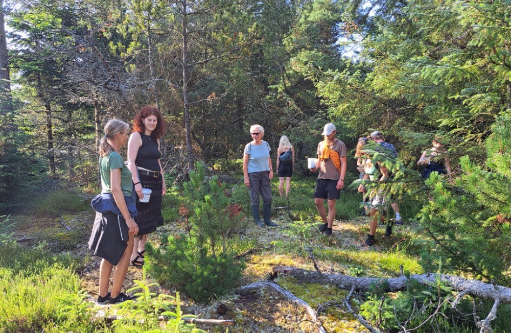 Gå tur med Nationalpark Thy Venner - Vandet Plantage