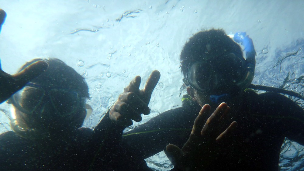 Guidet snorkeldyk: Et mylder af liv på stenmolen