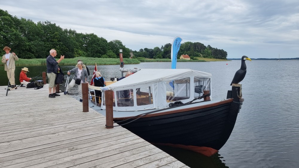 Sejltur med Skarven - fra Jyllinge til Skuldelev Ås og tilbage