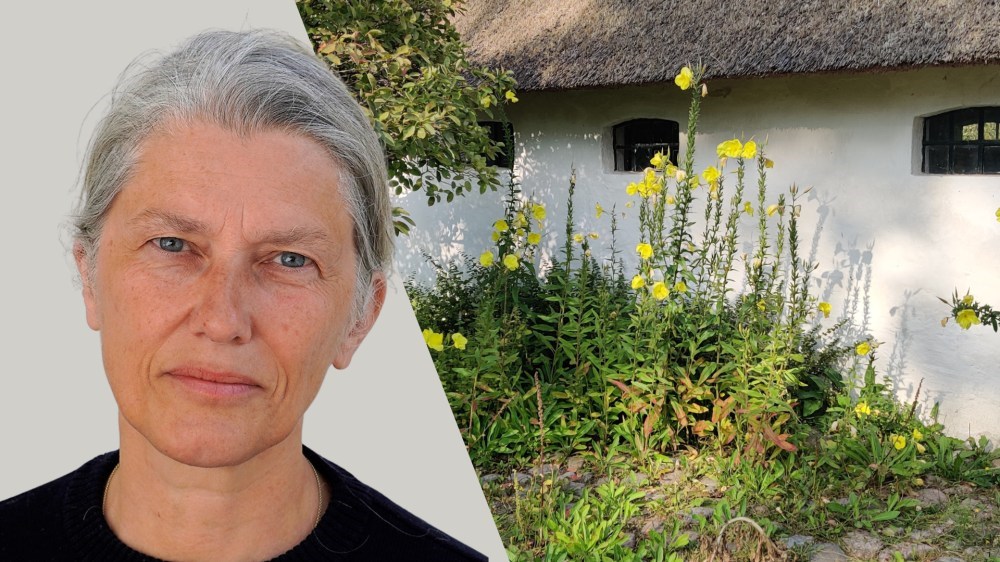 Litteraturaften v. Cecilie Rubow: "Indendørsmenneskets Natur"