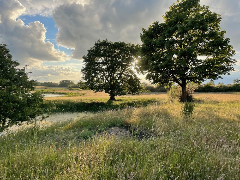 Nat i Naturen - Gå den mørke tid stærkere i møde på et naturbrug inkl. bålmad og