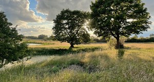 Nat i Naturen - Gå den mørke tid stærkere i møde på et naturbrug inkl. bålmad og
