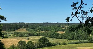 Smuk vandretur Marselisborg og Hørret skov 15 km