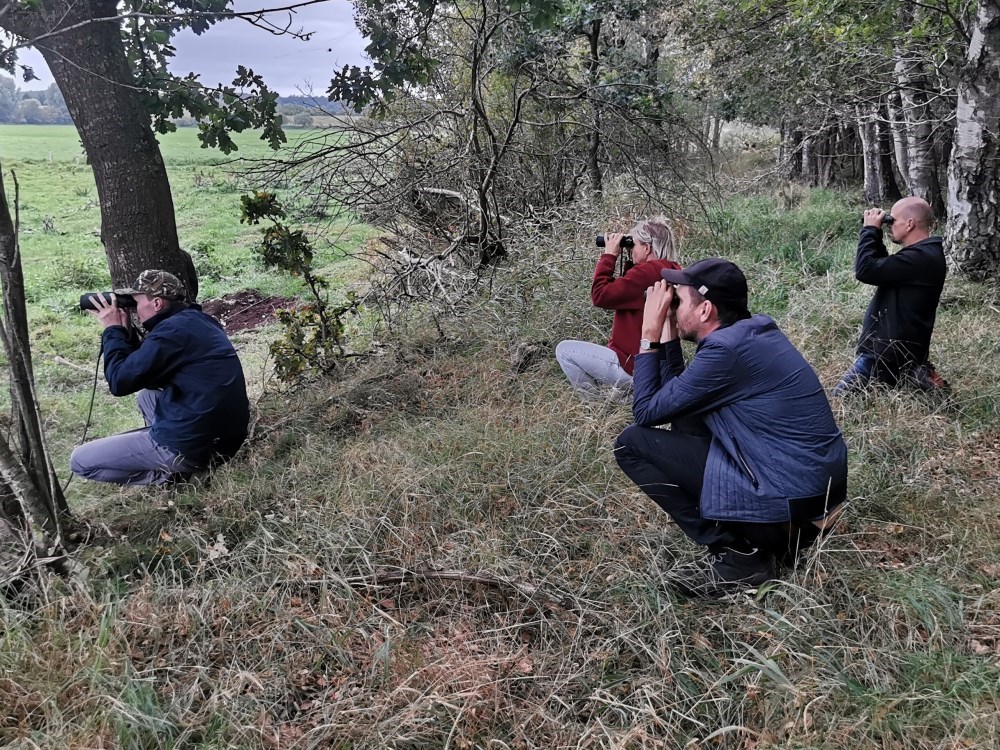 Rovfugletræk i Naturpark Åmosen