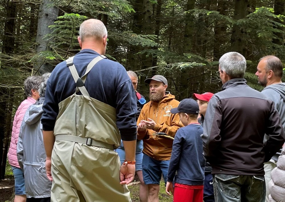 Lavbund, klima og biodiversitet