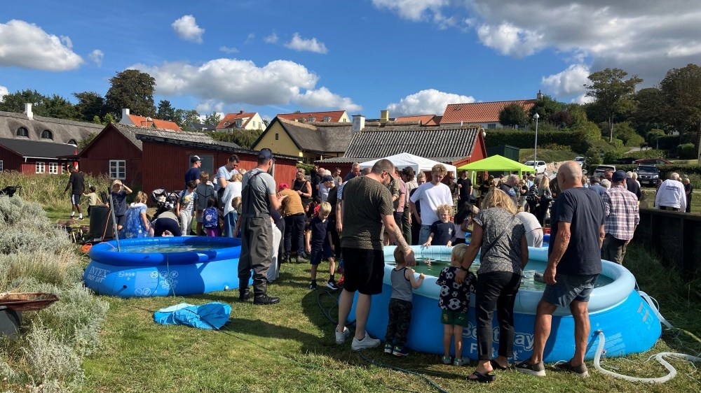 Fjordens Dag i Jyllinge
