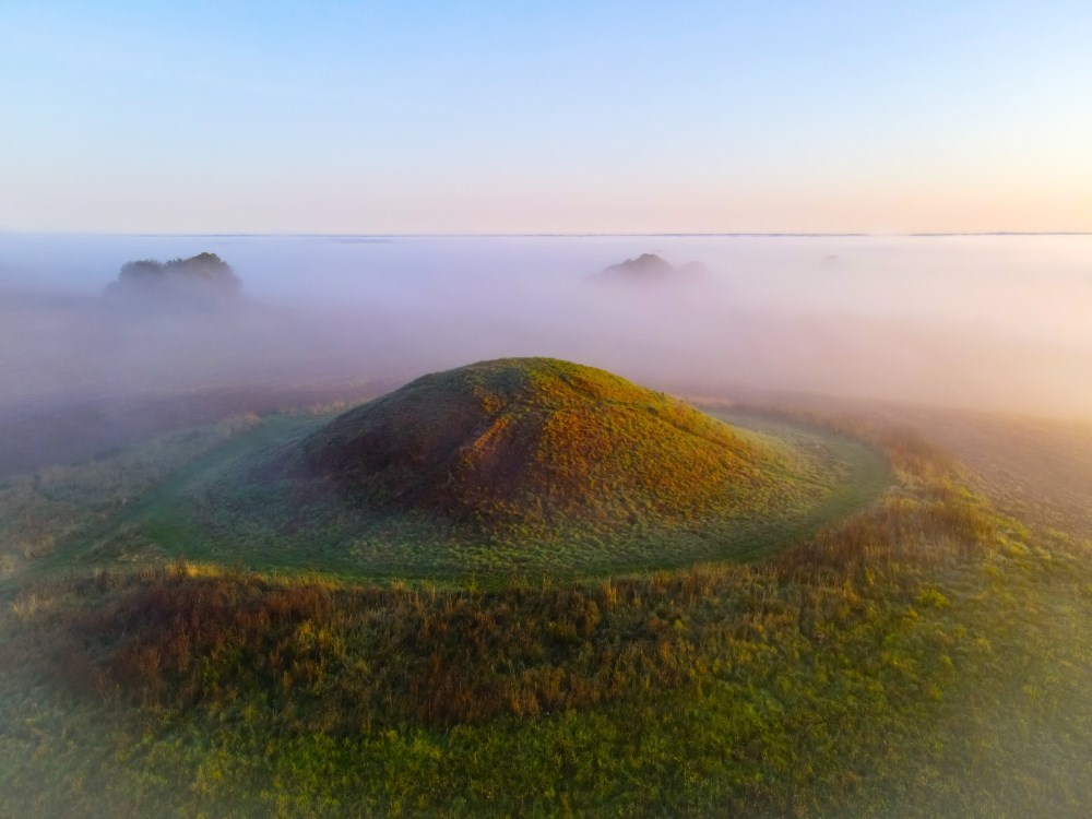 Bavnehøje og kaløskovene med udsyn og indblik