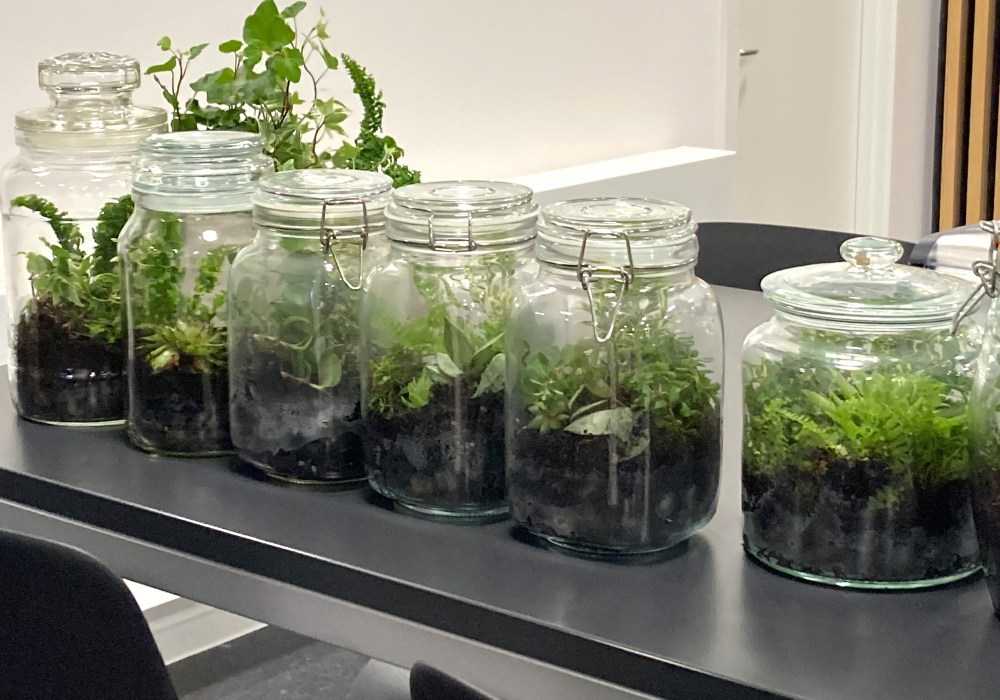 Evighedshaver i Tved Forsamlingshus