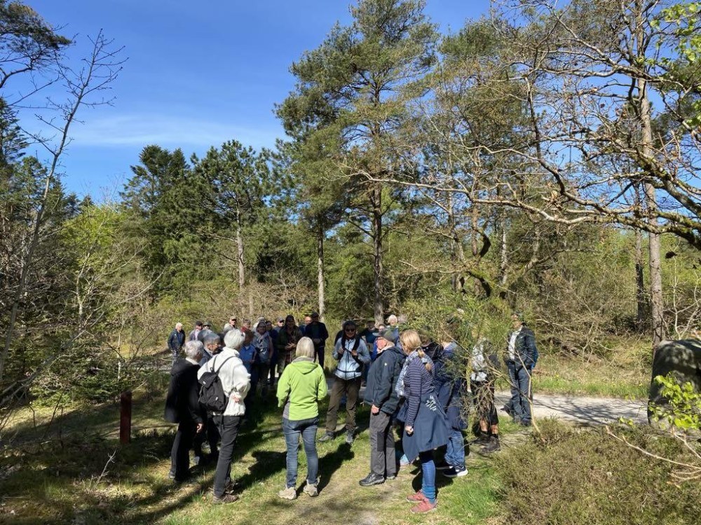 Gå tur med Nationalpark Thy Venner - Stenbjerg Klitplantage