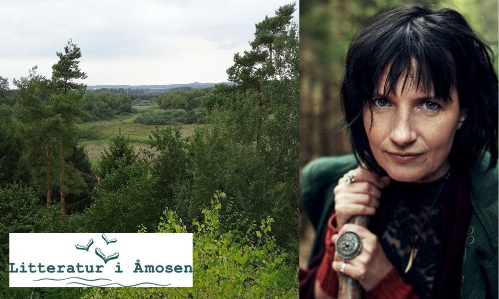 En rejse i Vølvens Spådom og mosens landskab