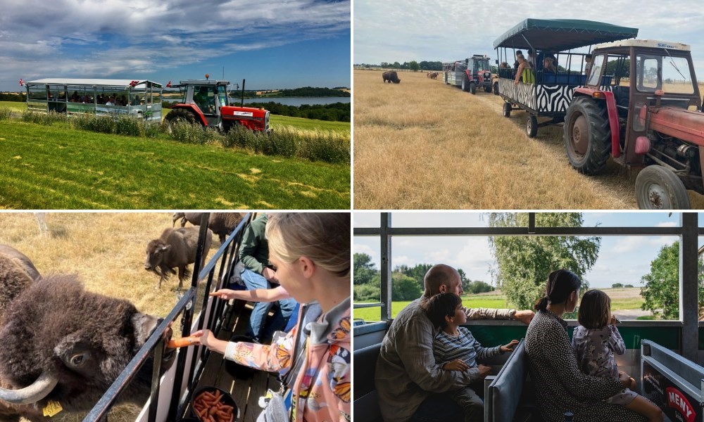 Tur til Orø strand og dyreparken