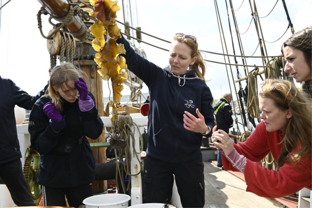 Livet under overfladen - sejltur på Ebeltoft Vig med marinformidling