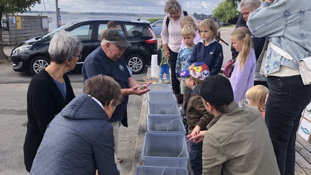 Fjordens Dag i Gershøj