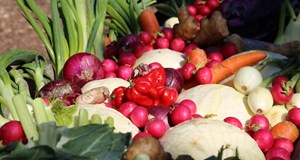 Vildmarksbrunch på Karpenhøj