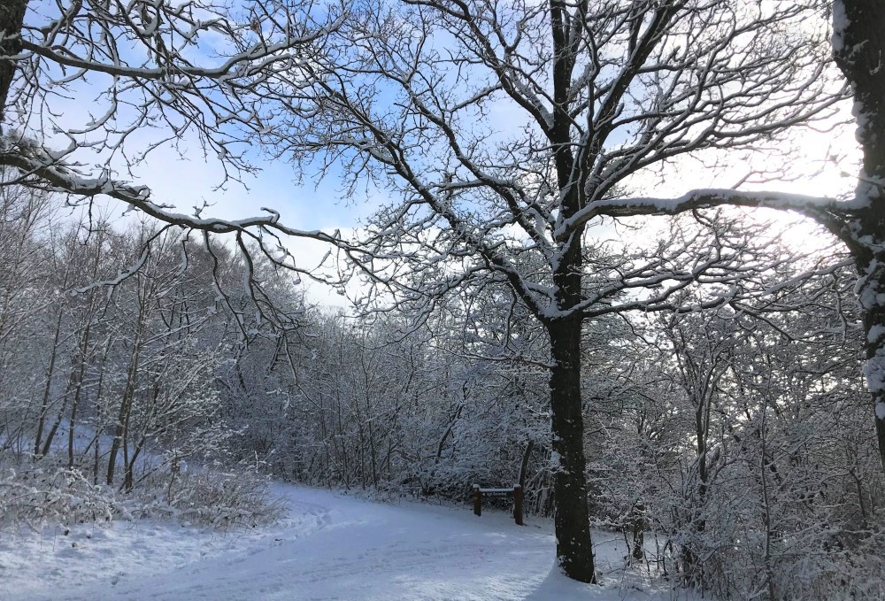 Mols Bjerge Vandretur 9 km