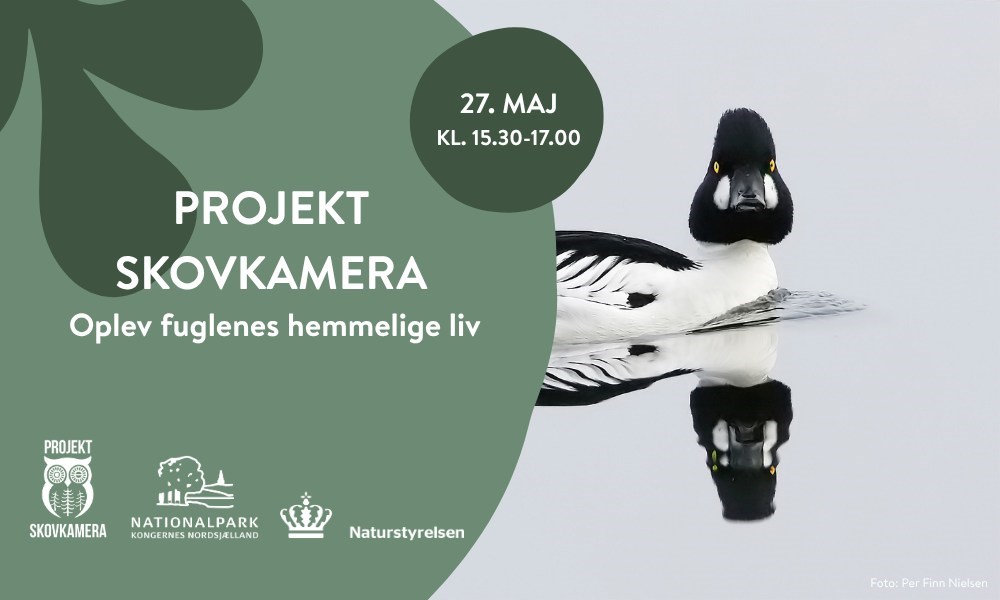 Åbning af Projekt Skovkamera