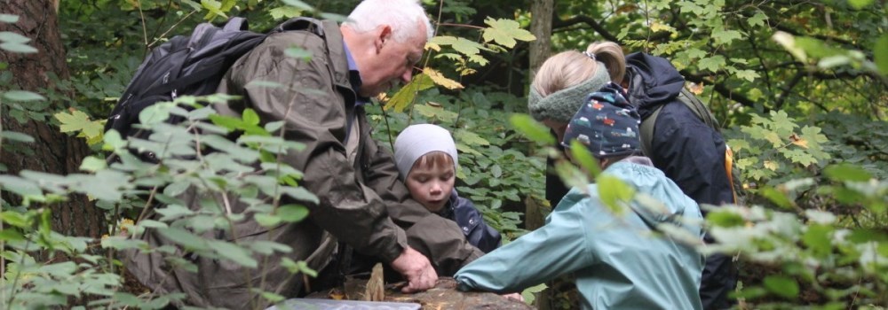 Skovtroldene i Gribskov - Nordsjællands Naturskole