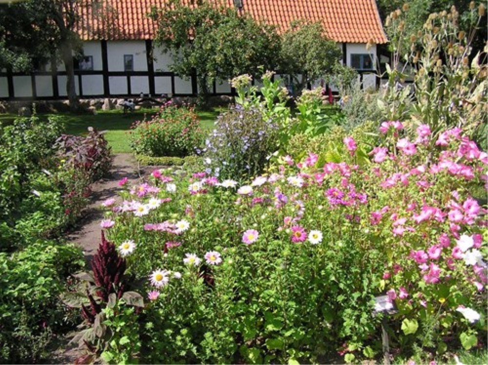 Sommersang i Sognegården