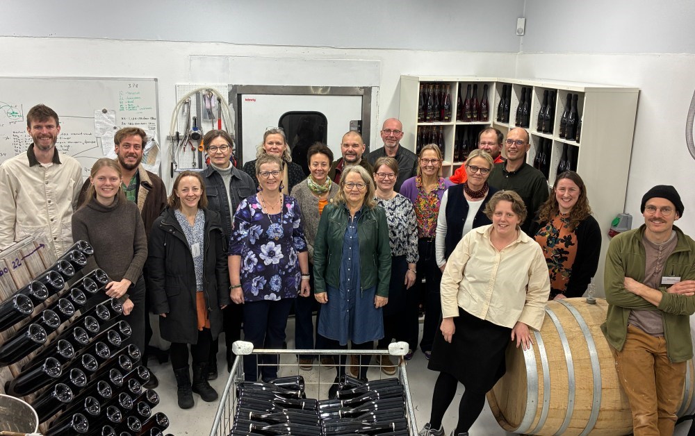 Netværk for Solo-Selvstændige