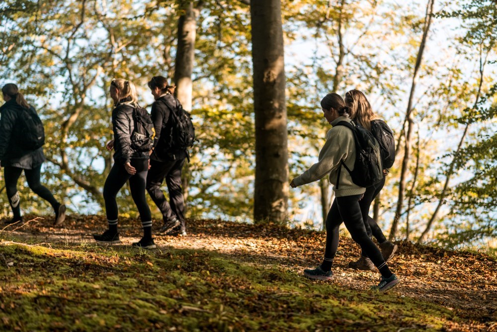 Eventyr I Højderne #14 - Rebild Bakker