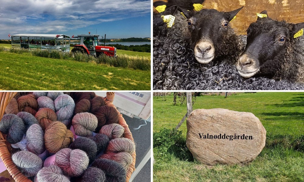 Gårdbesøg til Valnøddegården med Narturekspressen