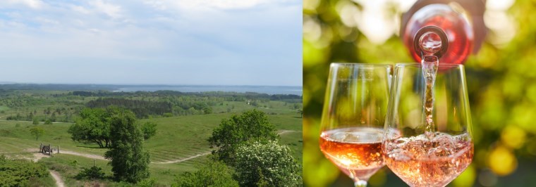 Vin, vandring og bobler Mols Bjerge 7 km