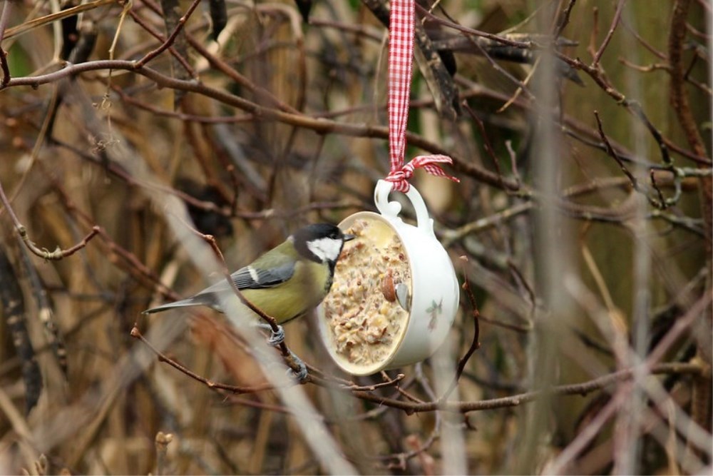 Vinterferie: ÅBEN KARPENHØJ - for børnefamilier!