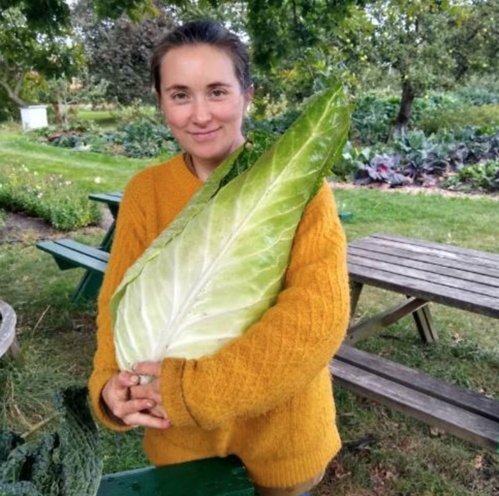 Fermenterings workshop med Isabel fra Trustrupgaard