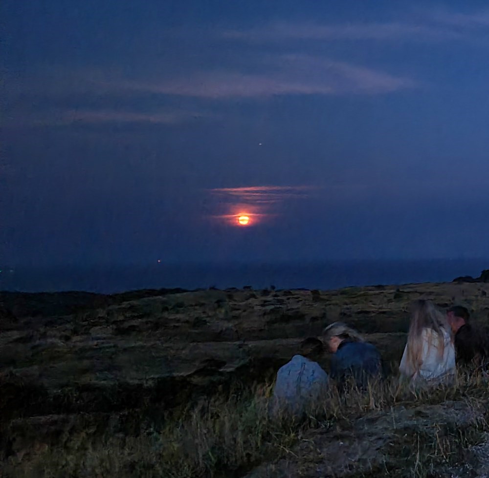 Unik Fuldmånetur i Mols Bjerge med stjernehimmel, overdrev og kæmpehøje