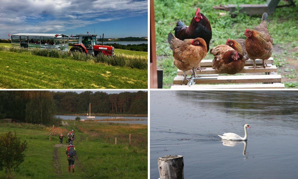 Oplevelsestur med Naturekspressen til Eskilsø