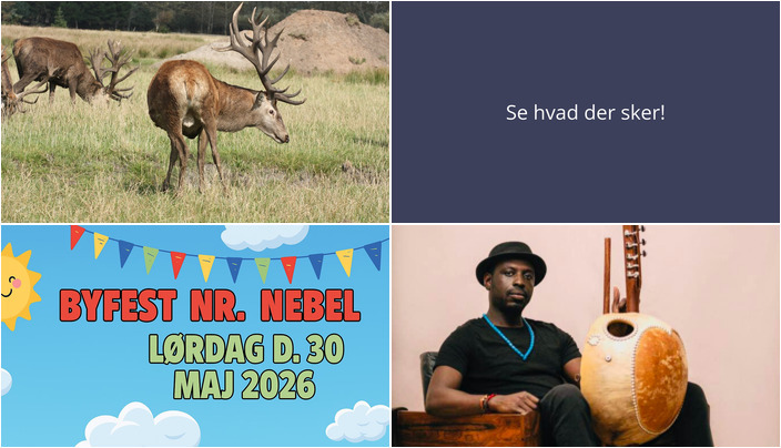 Oplevelser i Nørre Nebel denne weekend: Natur, byfest og kunst