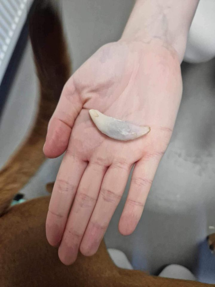 Det nyeste på Hernings opslagstavle