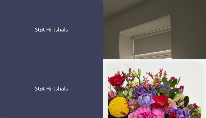 Nyt fra Høj Data ApS og Café Møller