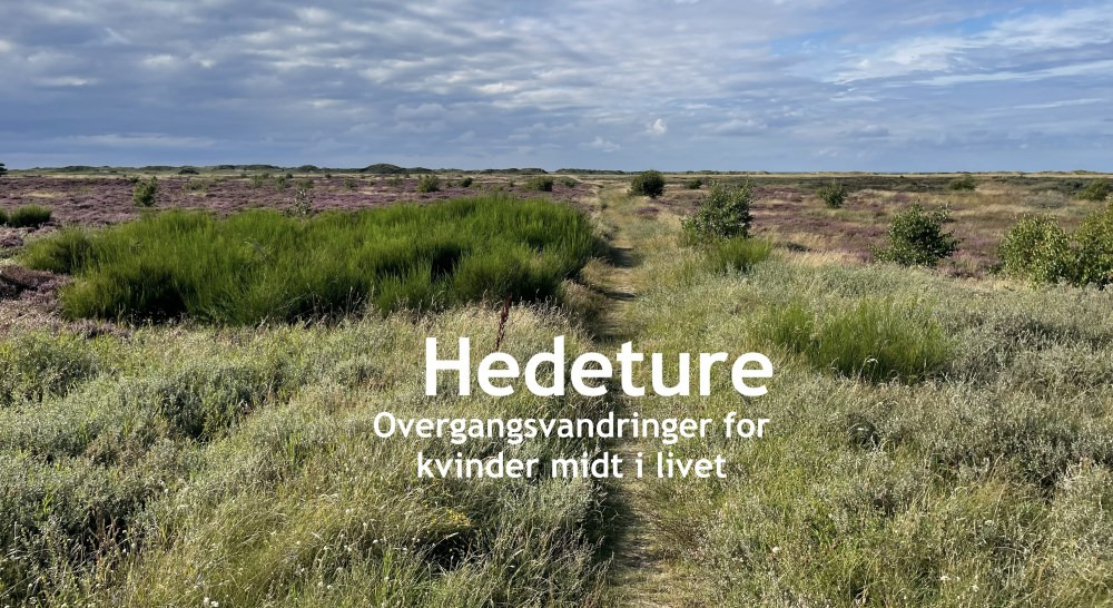 Oplev naturen og fællesskabet på Melby Overdrev