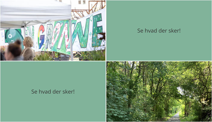 Klima og fællesskab: Ugen byder på debatter og motion i Møldrup