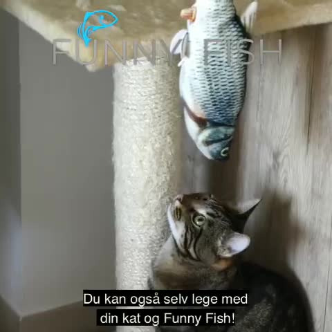 Hold trit med lokalområdet: Nyt fra Odder