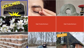 Nyt fra Skjoldmø Keramik, Elling Slagterforretning v/Louise le Fevre Sjøberg Karlsen, ZENZ og 5 andre