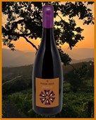 Lahvino Wine & Spirits præsenterer ny Sangiovese: Franco IGT Rosso Toscana 2019 fra Podere Arizzi