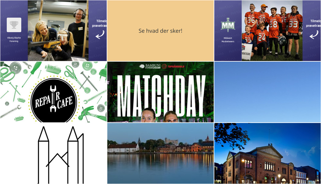 Oplev Viborg: Fra Amerikansk Fodbold til Nytårskoncert