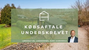 opslagsbillede