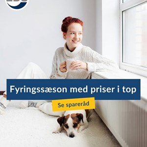 Opslagsbillede