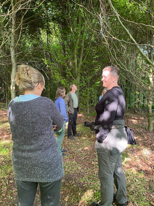 Det nyeste på Billunds opslagstavle