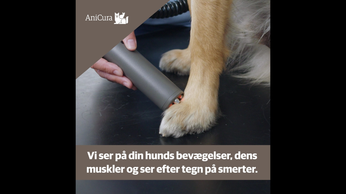 En finger på pulsen i Hjørring