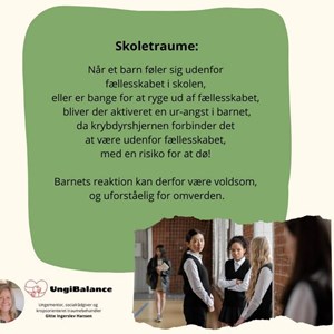 opslagsbillede