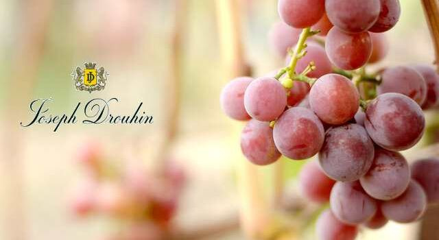 En finger på pulsen i Skive