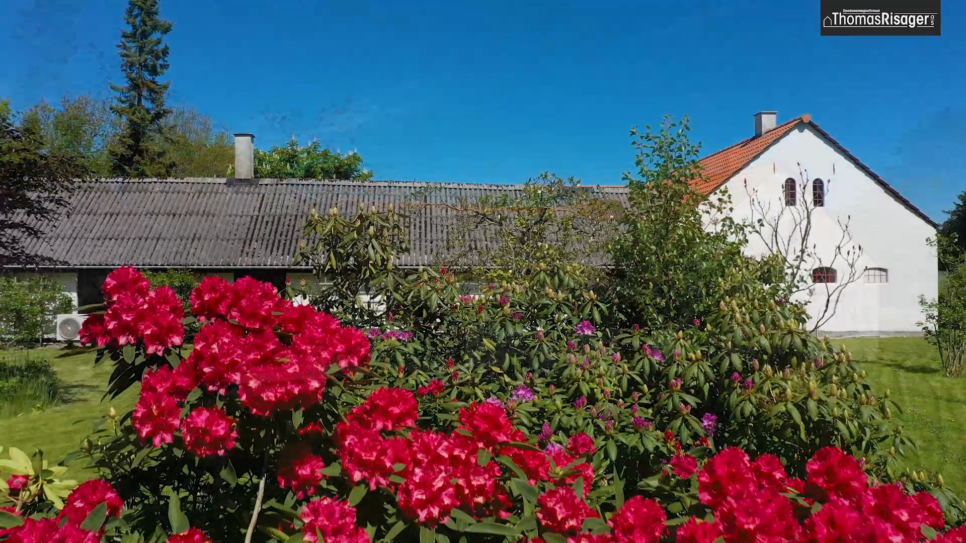 Det nyeste på Hjørrings opslagstavle