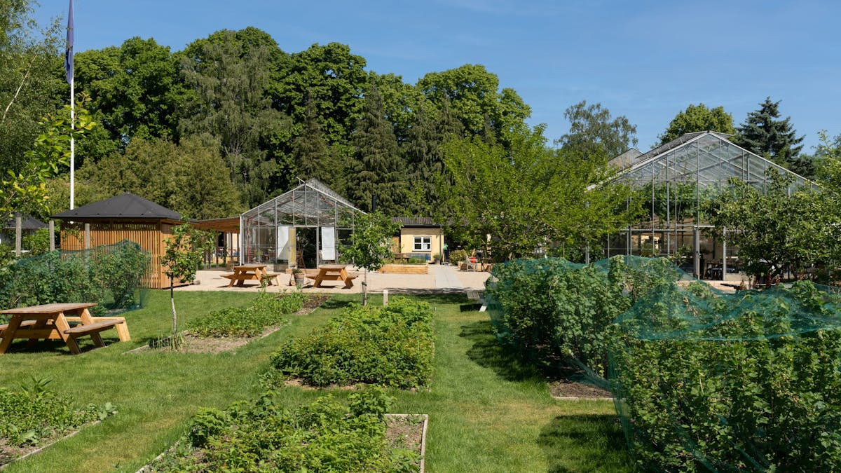 Sanselig fælleslæsning i Sct. Hans Have: En litterær pause fra dagligdagen