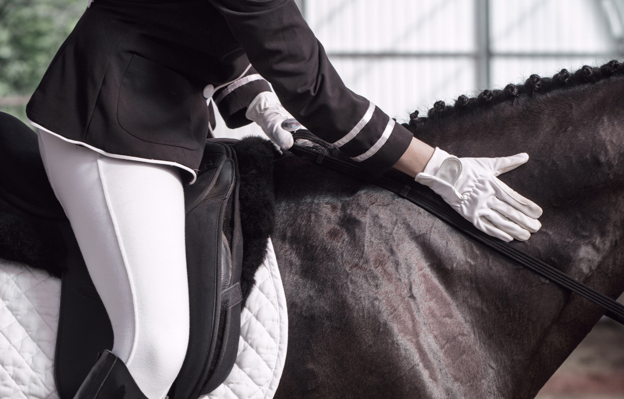 Kæmpe messe for rytter og hest i Herning