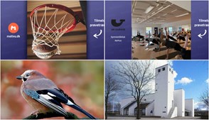 Spændende aktiviteter i Risskov denne weekend: Sport, motion og naturoplevelser