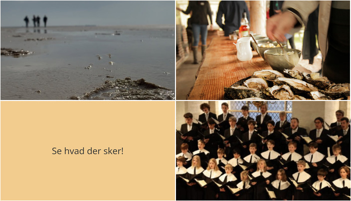 Spændende aktiviteter på Rømø i weekenden: Østers, natur og musik